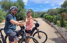 e-bike tour in the plain of the secular olive trees of Ostuni 