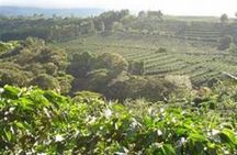 Poaz Volcano And Coffee Tour From JACO