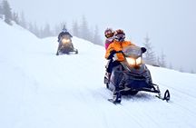 2 Hour Wilderness Adventure Snowmobile Tour in Whistler