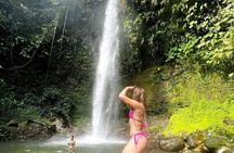 Tour to the Amazon for one day