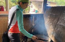 Tour to the Amazon for one day