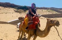 BEST SELLER TANGIER PRIVATE TOUR: Highlights, Camels & Old Town 