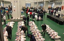 Morning Market Adventure: Toyosu & Tsukiji with Tuna Auction