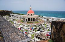 Full Day Private Tour to the West Of Puerto Rico