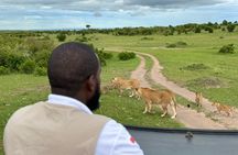 3 Days Maasai Mara Safari With Special Rates