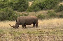 3 Days Maasai Mara Safari With Special Rates