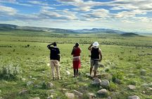 3 Days Maasai Mara Safari With Special Rates