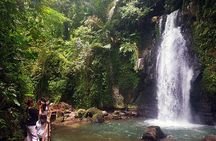 UBUD Spring Temple, Waterfall, Rice Terraces Private Tour