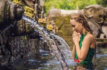 UBUD Spring Temple, Waterfall, Rice Terraces Private Tour