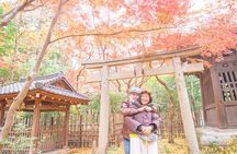 Private car tour Let's uncover secrets of majestic Kyoto history