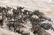 6 Days in the Wild – A Budget Safari Across Tanzania’s Icons