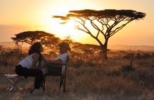 6 Days in the Wild – A Budget Safari Across Tanzania’s Icons