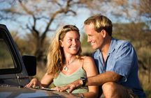 Elephant Safari Adventure: Addo National Park Excursion