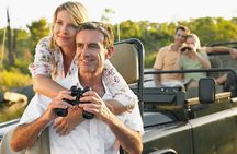 Elephant Safari Adventure: Addo National Park Excursion