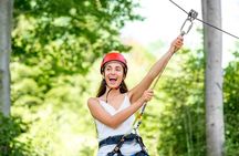 Epic Tsitsikamma Tour: Zipline & Storms River Mouth