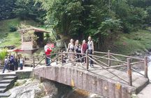 Cameron Highlands Day Trip