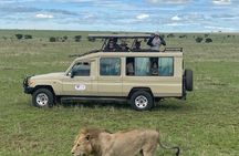 3 Days and 2 Nights Mikumi Private Safari Adventure