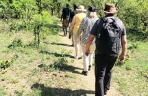 A Walking Safari in the Mosi -oa - Tunya National Park