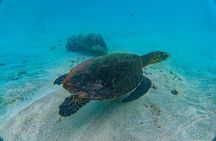 Family Package Private Fishing and Snorkeling