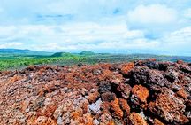 Etna Adventure from Taormina