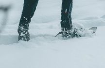 Rovaniemi: Snowshoeing in a magical snowy forest