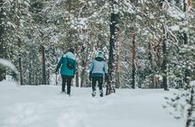 Rovaniemi: Snowshoeing in a magical snowy forest