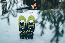 Rovaniemi: Snowshoeing in a magical snowy forest