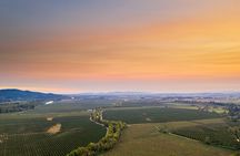 Wine, Stables and Classic Cars Willamette Valley Tour Experience