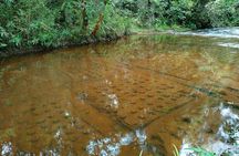 Full Day Adventure Tour Phnom Kulen, Beng Mealea & Kampong Phluk 