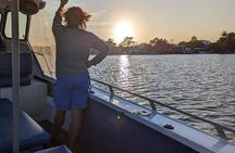 AAA Noosa National Park Tour and Dolphin Safari Whalesongsnoosa