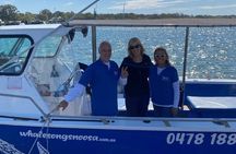 AAA Noosa National Park Tour and Dolphin Safari Whalesongsnoosa