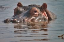 5 Days Tanzania Budget Camping Safari from Arusha