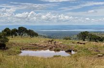 Safari Park Day Trip Adventure from Kigali