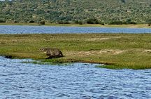 Safari Park Day Trip Adventure from Kigali