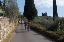 Active Full Day Tuscan Bike Tour With Wine Tasting and Lunch