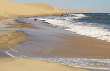 Scenic Sandwich Harbor Half Day tour