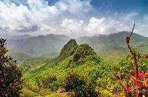 Half Day Adventure Private Tour in El Yunque Rainforest