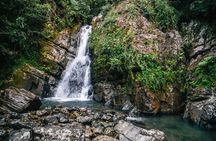 Half Day Adventure Private Tour in El Yunque Rainforest