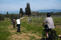 Active Full Day Tuscan Bike Tour With Wine Tasting and Lunch