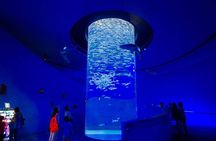 Hurghada Grand Aquarium Discovery Tour with Tickets & Transfers