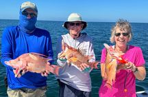 4 Hour Private Fishing Excursions in Anna Maria Island