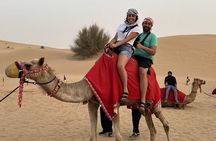 Dubai Evening Red Dune Safari With 30 Mins ATV, BBQ, Live Shows