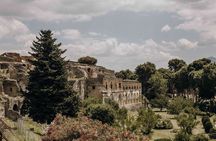 Guided Tour of Pompei, Lunch and Wine from Sorrento