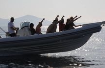 1 Hour Diving with Speed Boat and Hotel Pickup in Hurghada