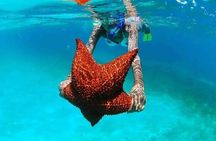 Saona Island Adventure from Punta Cana