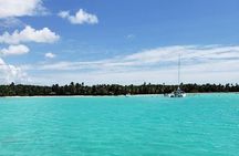 Saona Island Adventure from Punta Cana