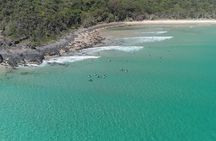 Noosa National Park & Dolphin adventure