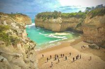 Small group Great Ocean Road Reverse & Wildlife spotting