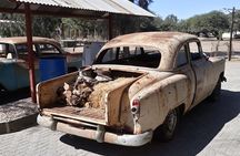 Cruise liner special: Swakopmund and Namib Desert Highlight Tour