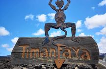 Exclusive flexible Lanzarote tour